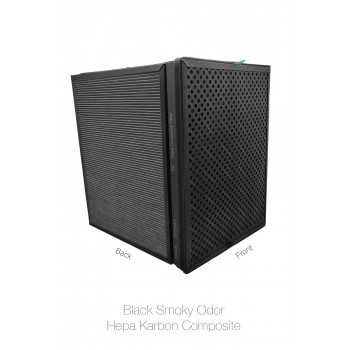 Electrolux Beam BM500AZ Hava Temizleyici Filtre Faf Marka Uyumlu Ürün Hepa + Karbon Birleşik Filtre   Siyah Smoky
